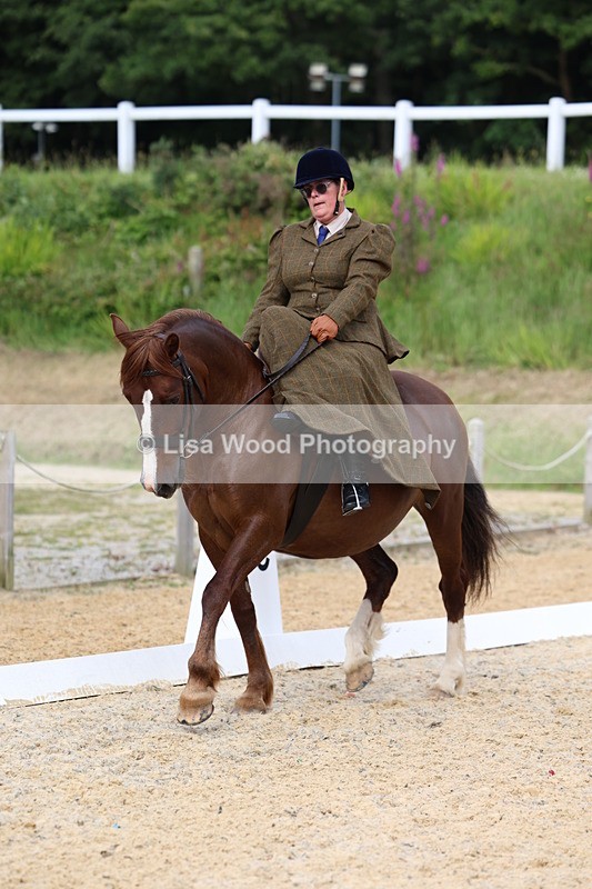 3E7A1644 - Class 2: Intro 2 2024 Section B