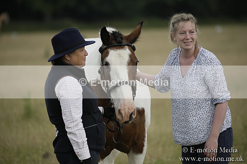 B230619-0192 - Bourne Valley Riding Club Summer Show 23/06/19