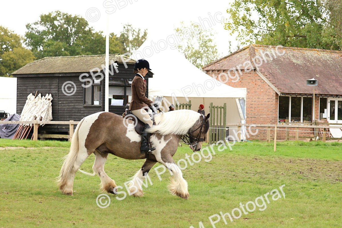 SBM_64495 - S58 - Coloured Pony Ridden