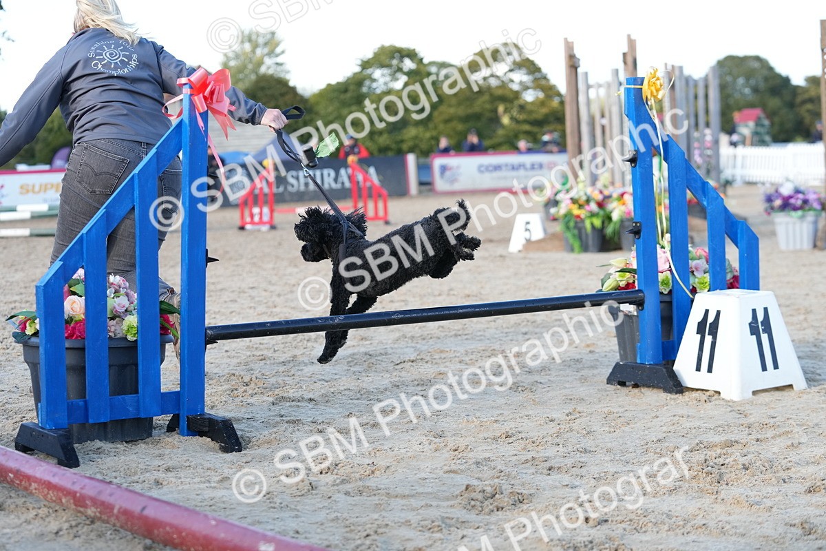 SBM_29010 - J43 - Horse & Hound Open 50cm