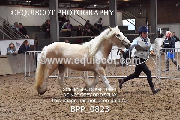 BPP_0823 - RING 2