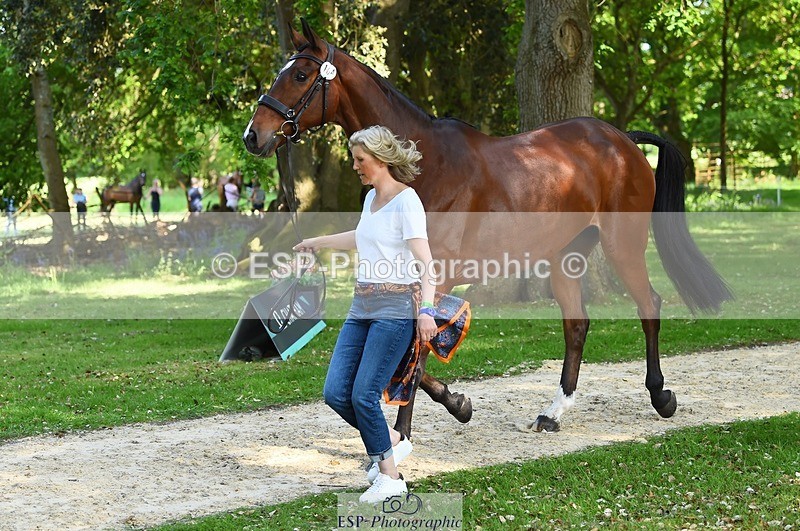 230524-163906-01002 - 164-TREBOR-Kelly_Mccarthy-maine-WEDTrotUp+DR