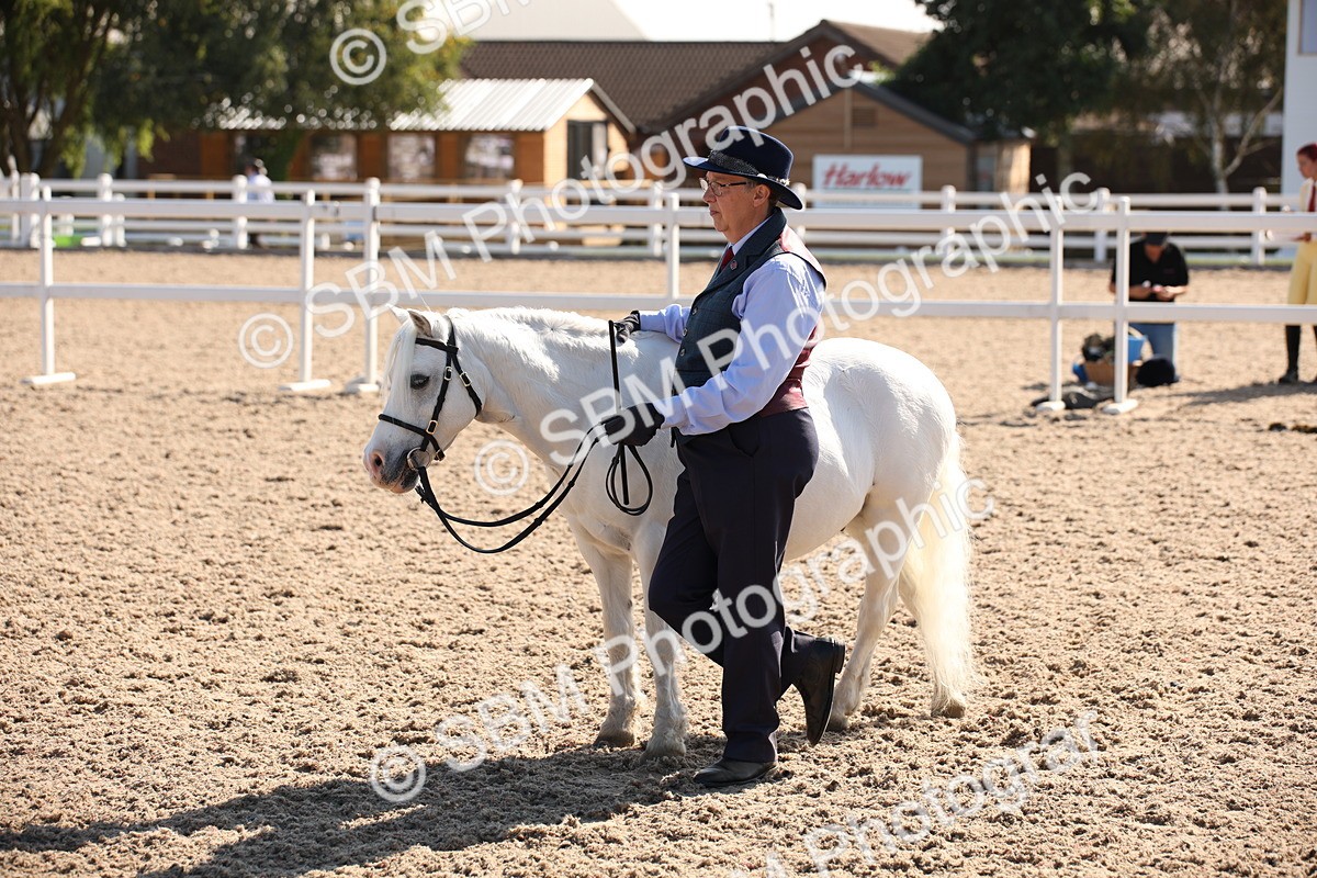 SBM_02725 - Class 16 IH M&M Wildcard