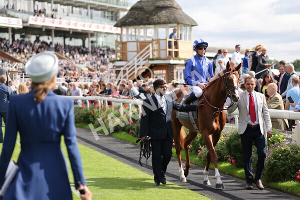 yr18082021r4-53 - Race 4 3.35pm Juddmonte International Stakes (British Champion Series race)