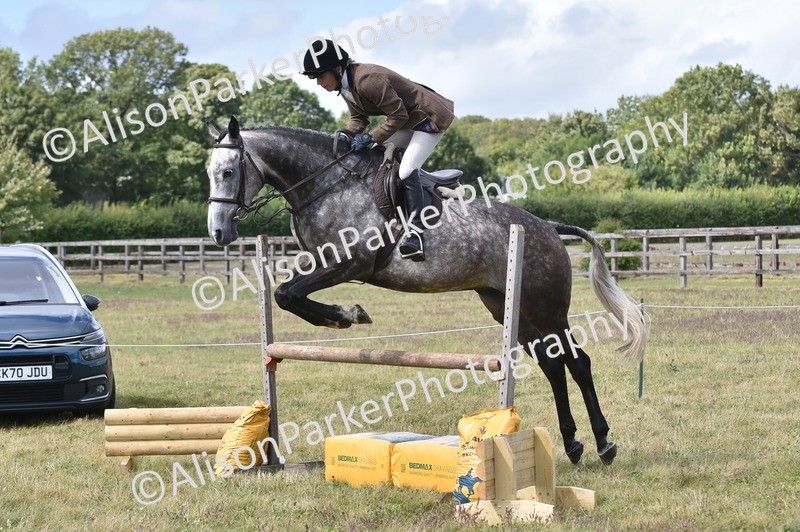 20250831-4060 - Class 13 - Working Hunter Horse or Pony