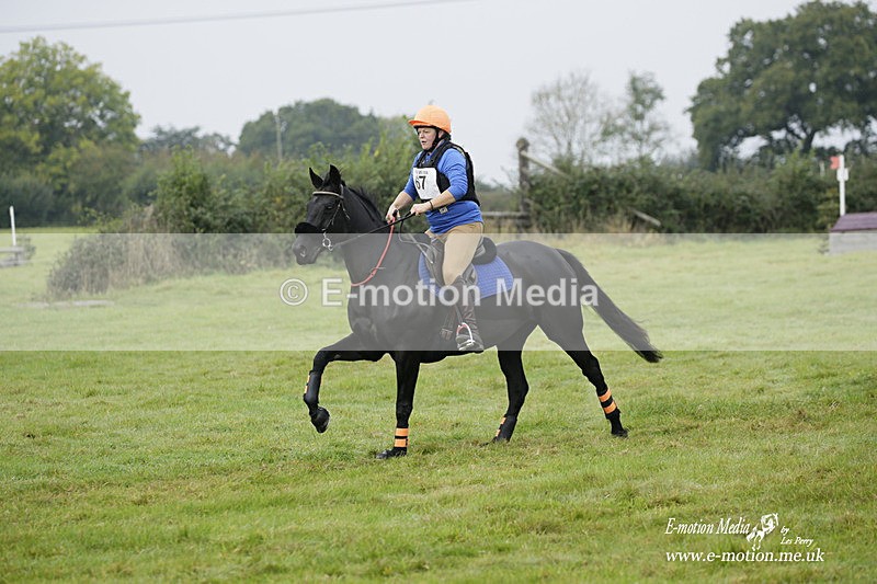  WWHT 171021 0884 - Open Novice (0.80m)  17/10/21