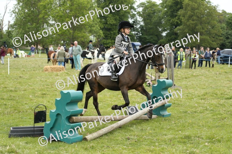20250517-0473 - Class 20 - Beginners Working Hunter