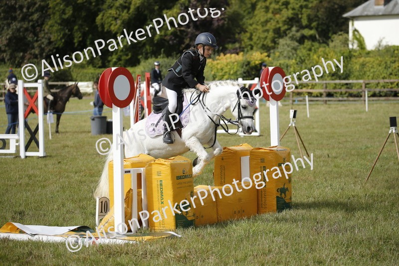 20250831-0694 - Class 2 - 60cm