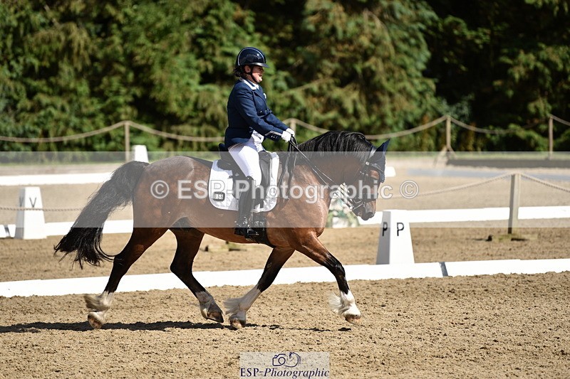 140110A-050246-12367 - 158-Alison.Crimp-Crwys.Beau