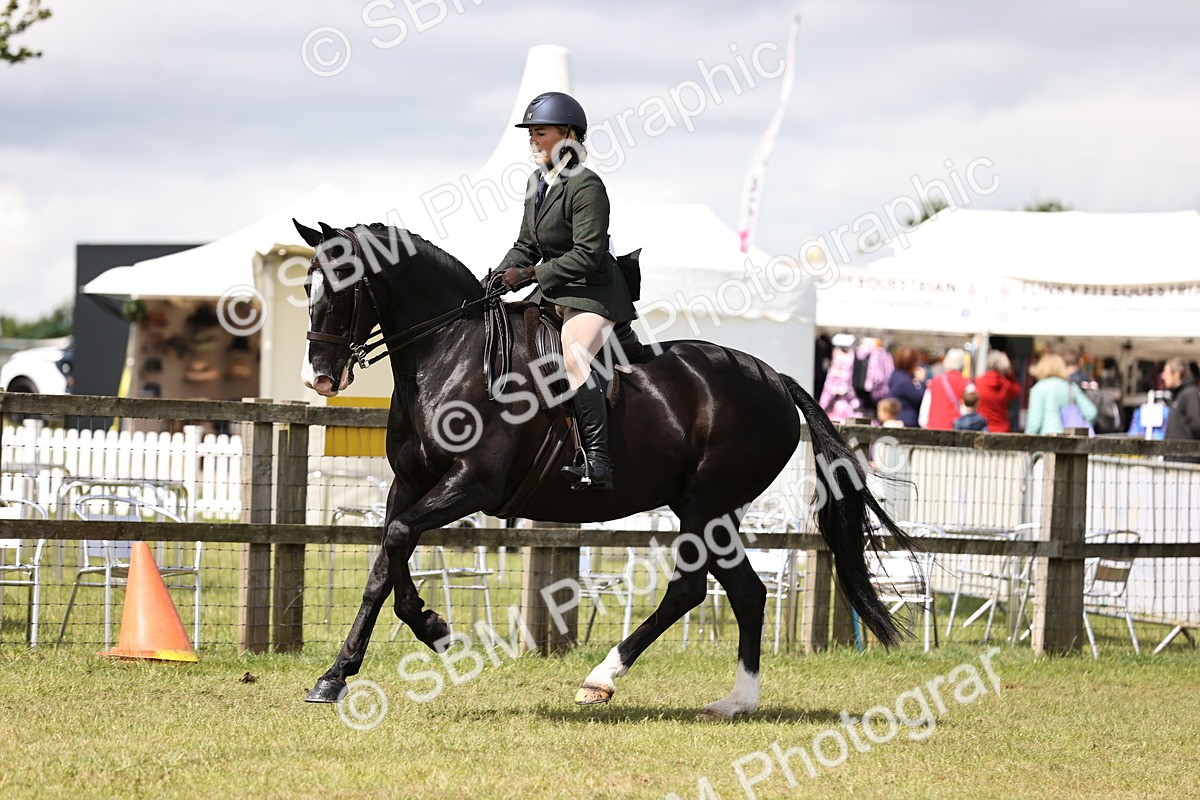 SBM_14551 - Class 88-89 - LIHS BSHA Rising Star of Ridden Hunter Type