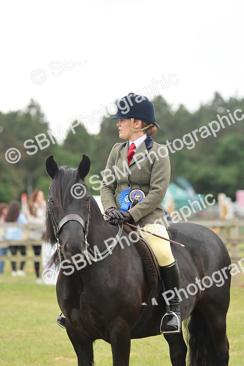 SBM_09044 - Class 78-80 - Ridden M&M Non Welsh Ponies