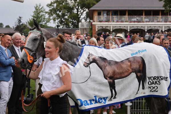 yr18082022r4-59 - Race 4 3.35pm Darley Yorkshire Oaks (British Champions Series Race)