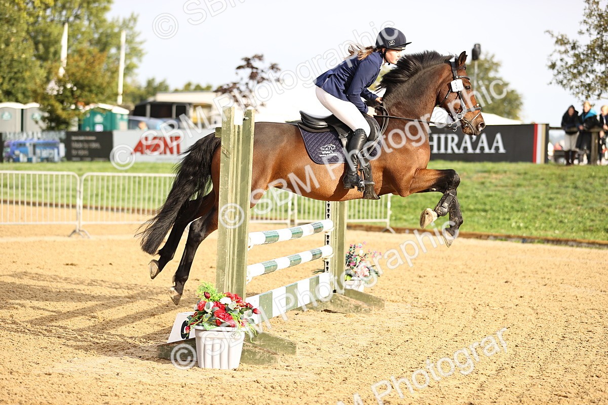 SBM_55237 - J62 - Clear Round 90cm