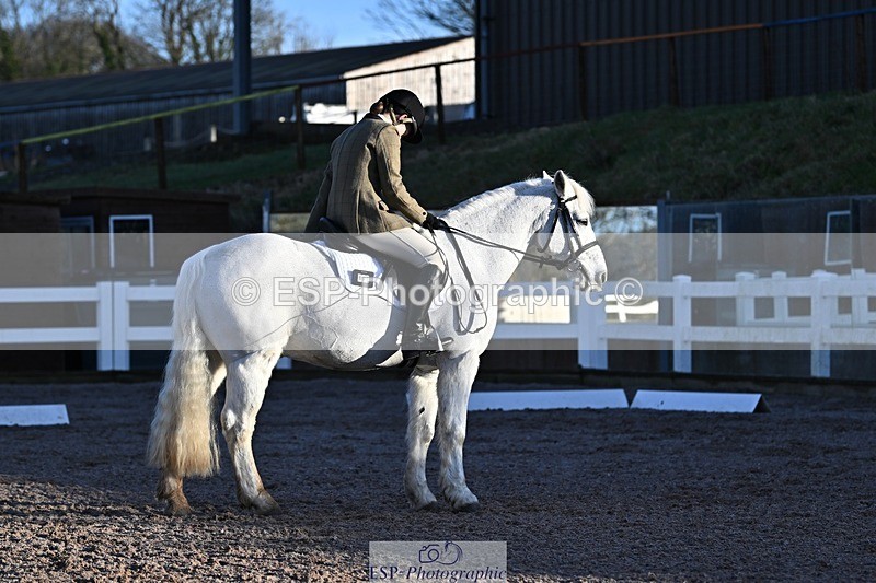 250125-091632-00029 - Dressage - CT Class 1 & 2 Intro 1
