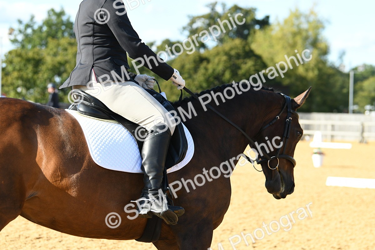 SBM_28406 - D16 - Small Tour Championship - Novice 28