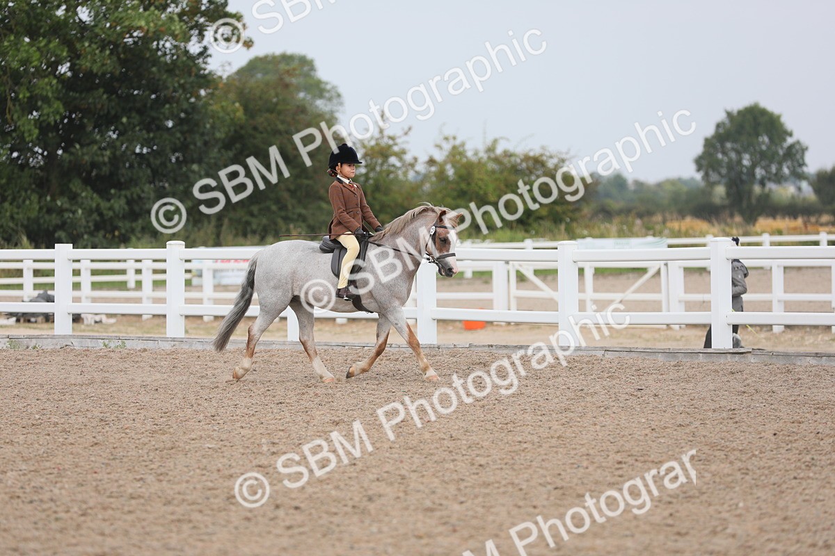 SBM_12677 - Class 307 Ridden Coloured Pony