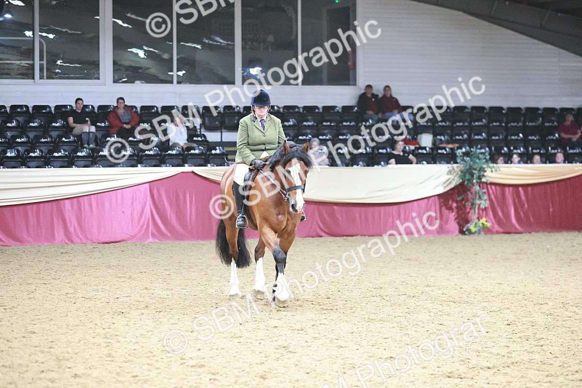 SBM_08940 - Class 12R - Regional Ridden Pre-Vet
