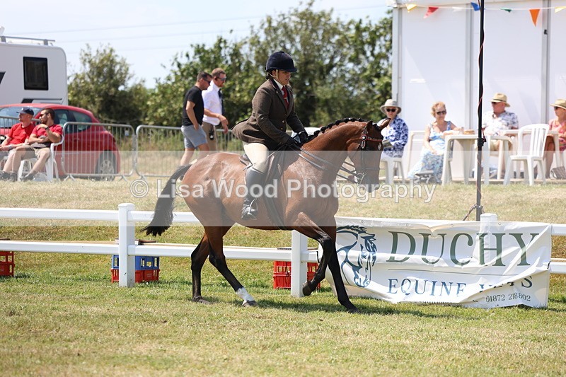 3E7A9304 - Class 12: Open Racehorse to Show Horse