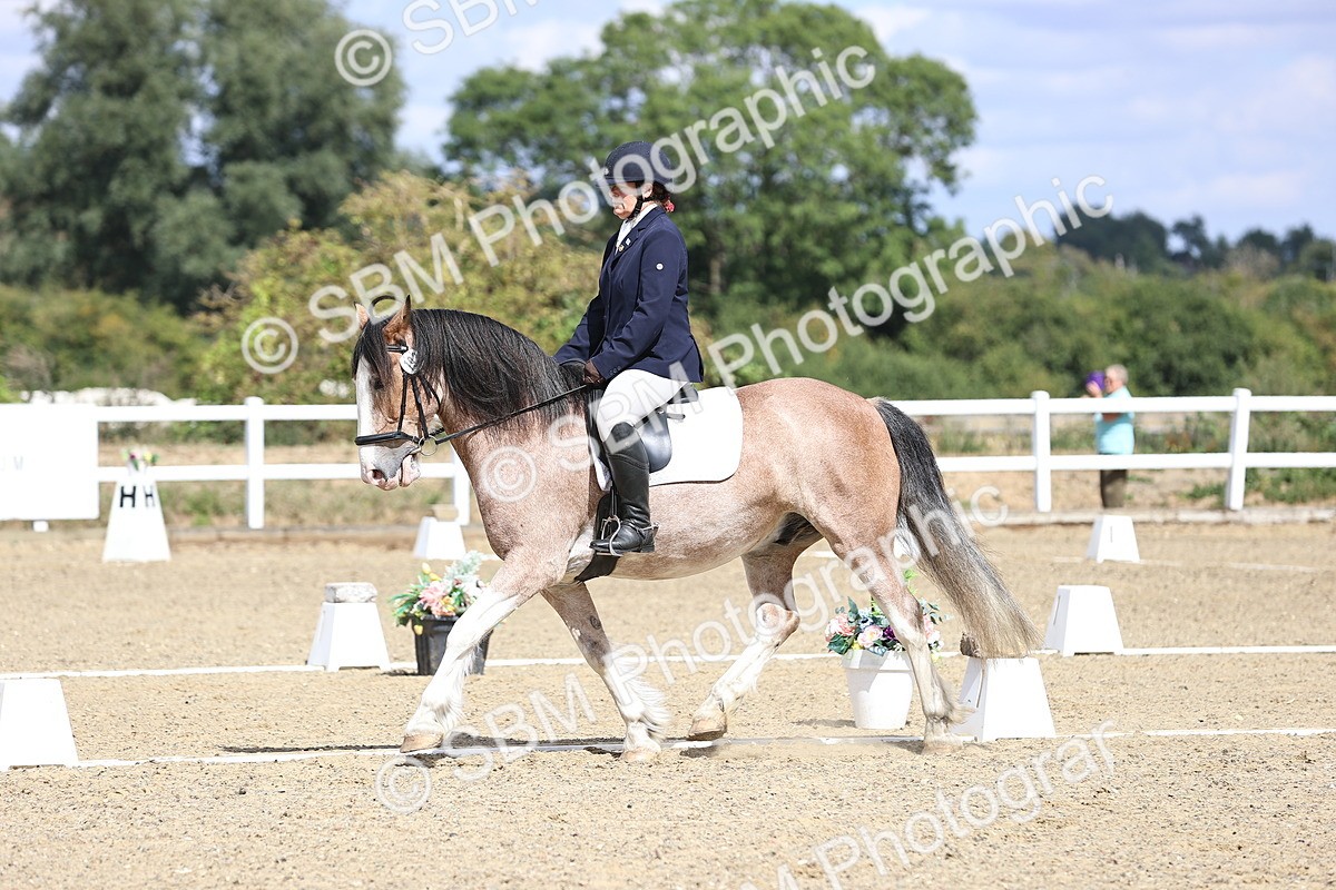 SBM_014557 - Class 5 - E5 Bronze 13.30.14.18