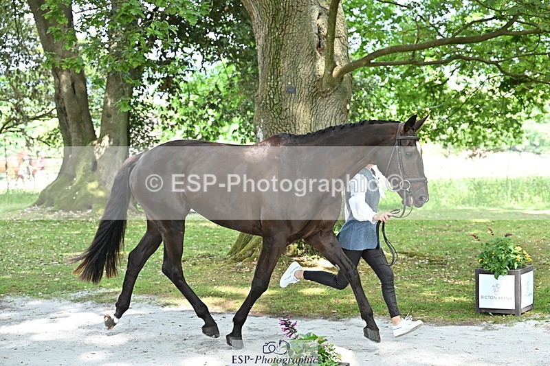 250521A-152201-00455 - B-379-Kelli.Frewin-HIDDEN.GOLD