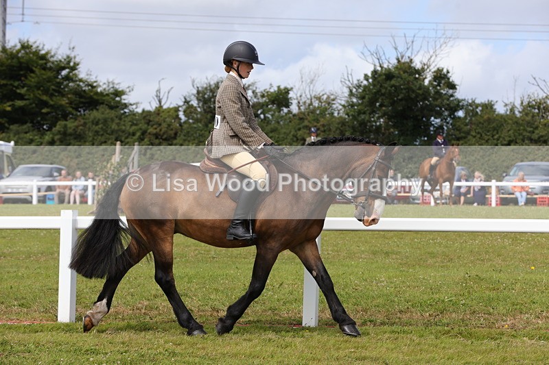 1X9A3960 - Class 32: Show Hunter Pony 153cm and under