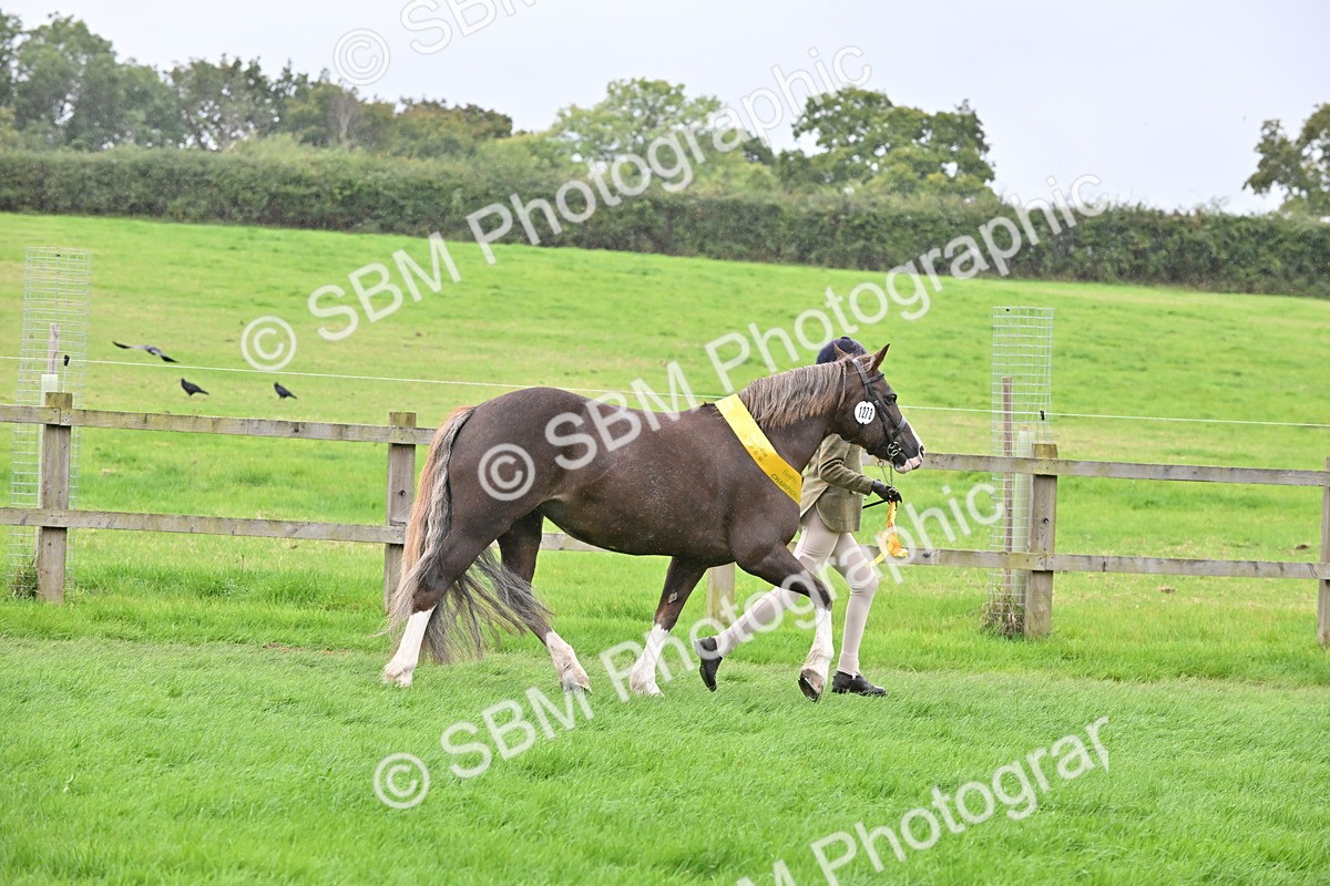 SBM_68662 - S42 - Junior Handler 9-12 Years