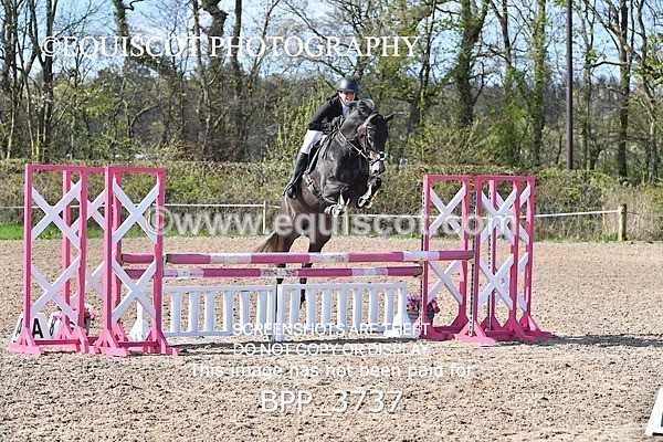 BPP_3737 - CLASS 3 FRI Senior British Novice/ 90cm Open