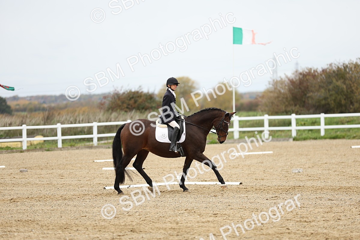 SBM_002995 - Class 8 - Novice 1