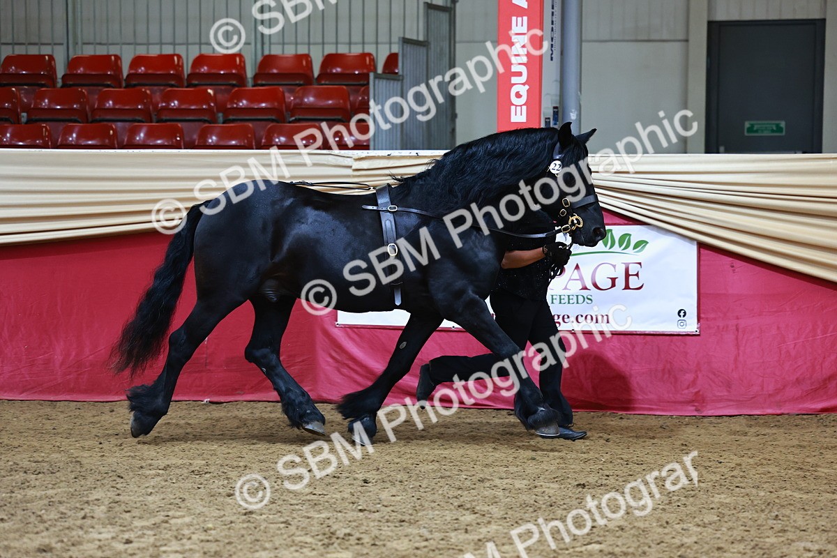 SBM_22212 - Class 902 - Supreme Final - IH Diamond