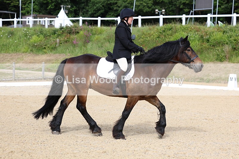 3E7A1375 - Class 1: Intro 2 2024 Section A