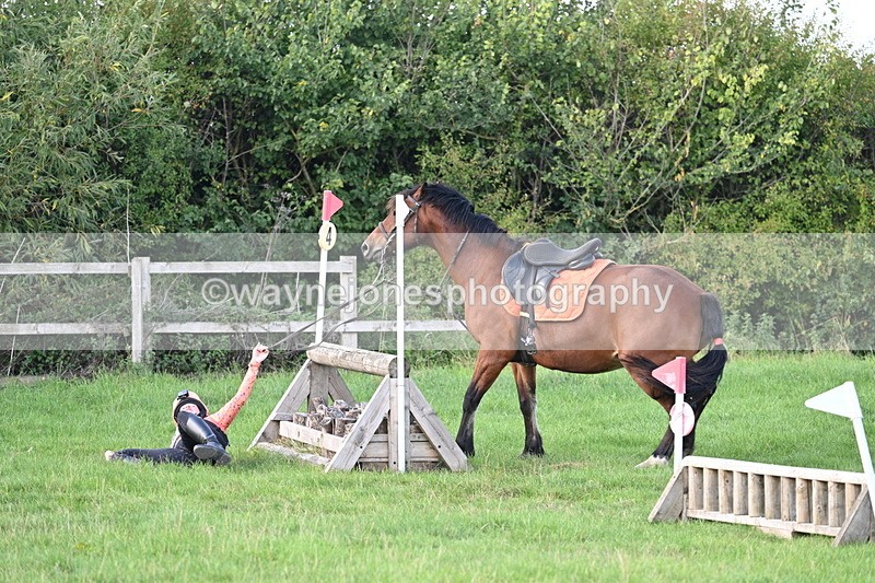 WJ7_1229 - Time 13:56 to 14:24