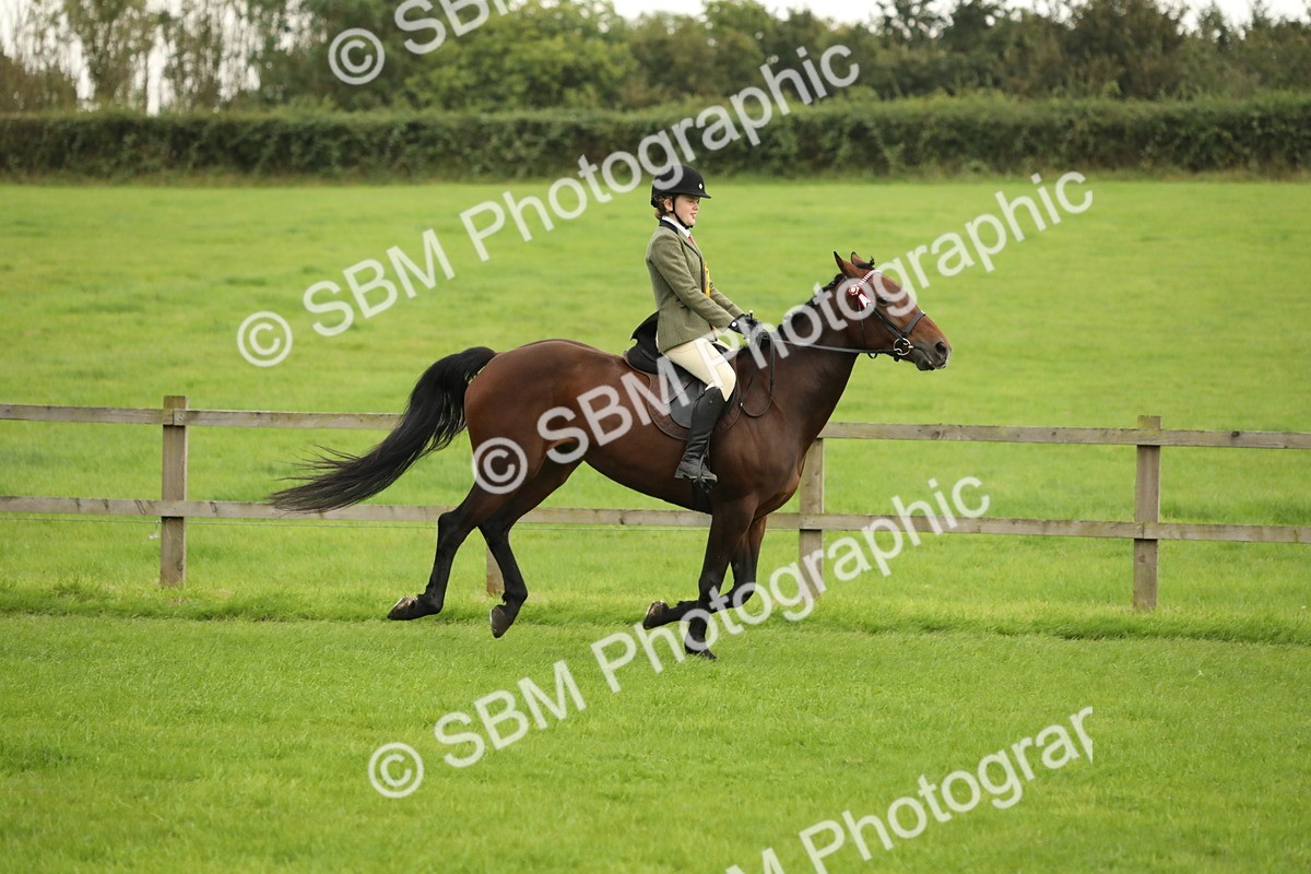 SBM_73874 - S41 - Ridden Equitation (Best Rider)