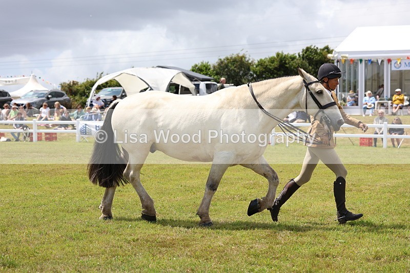 3E7A2261 - Class 10: Open Cob