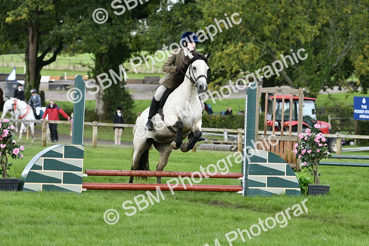 SBM_41516 - S32 - Mountain & Moorland Working Hunter Pony