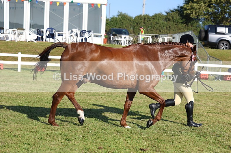 3E7A5149 - Class 1: Rising Star Small Hack/Riding Horses