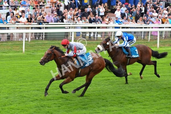 yr04092022r1-37 - Race 1 1.45pm IRE Incentive, It Pays To Buy Irish EBF Novice Stakes