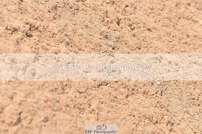 230810A-100604-00212 - Cls 8 British Novice & 90cm Open