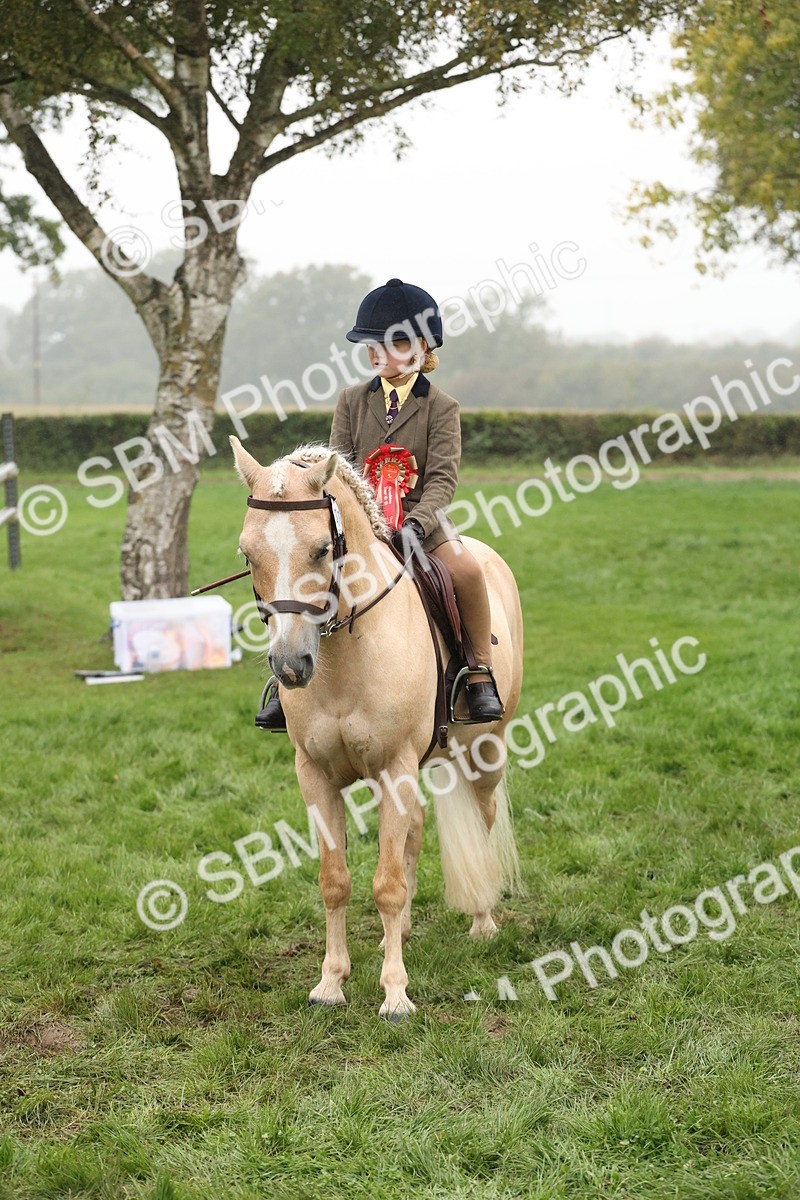 SBM_72952 - Ridden Horse Supreme Championship