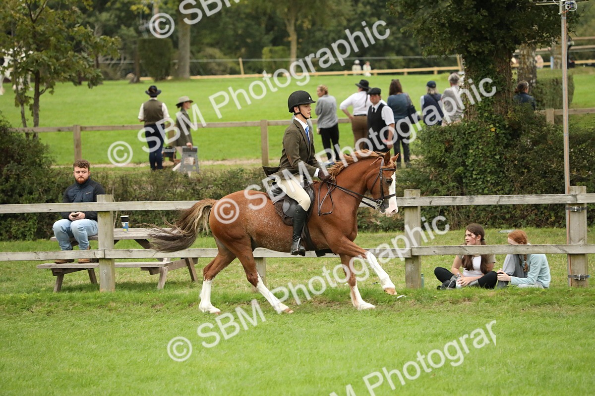 SBM_73797 - S41 - Ridden Equitation (Best Rider)