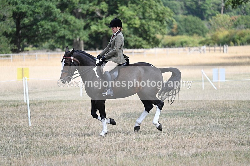 WJ7_6057 - Class 13 Ridden Veterans