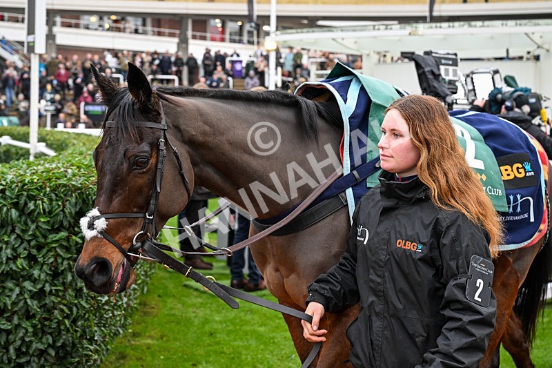 121225-Race 3-Brentford Hope-4770 - Race 3