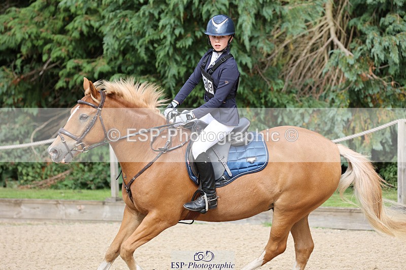 240823X-161639-19620 - 70cm Single Phase All