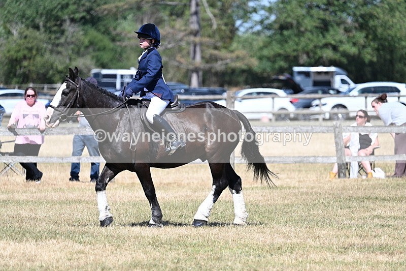 WJ7_3686 - Class 8 Ridden Veterans