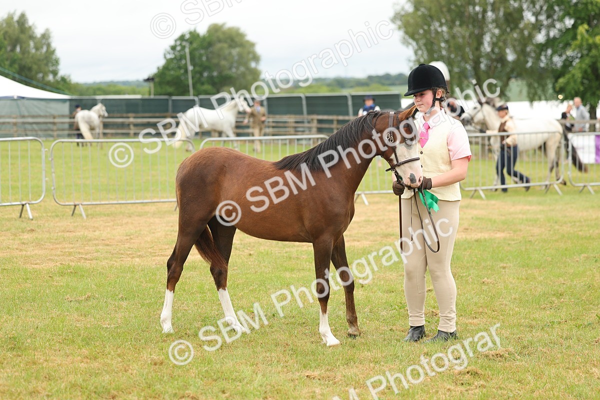 SBM_02202 - Class 50-57 - M&M Welsh Pony In Hand