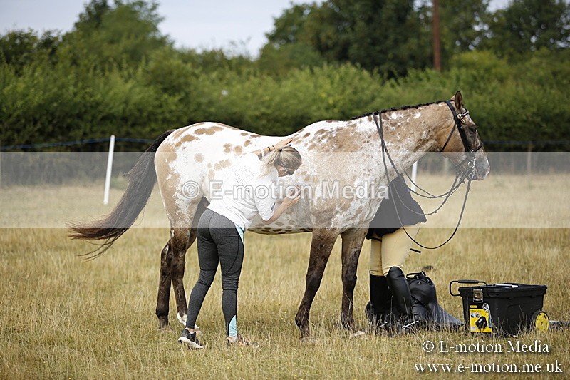 _C7A9543 - BVRC Show 2018 Ring 1