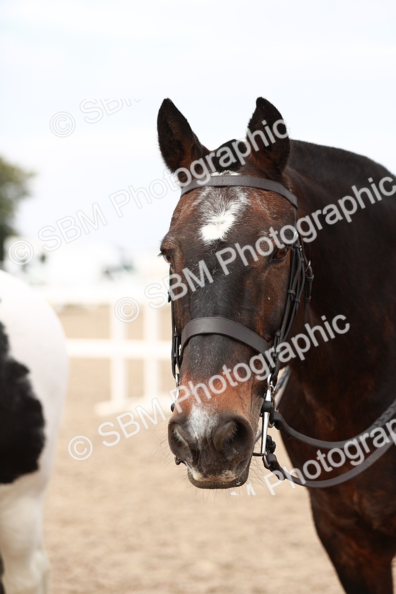 SBM_16728 - Class 214 Ridden Cob