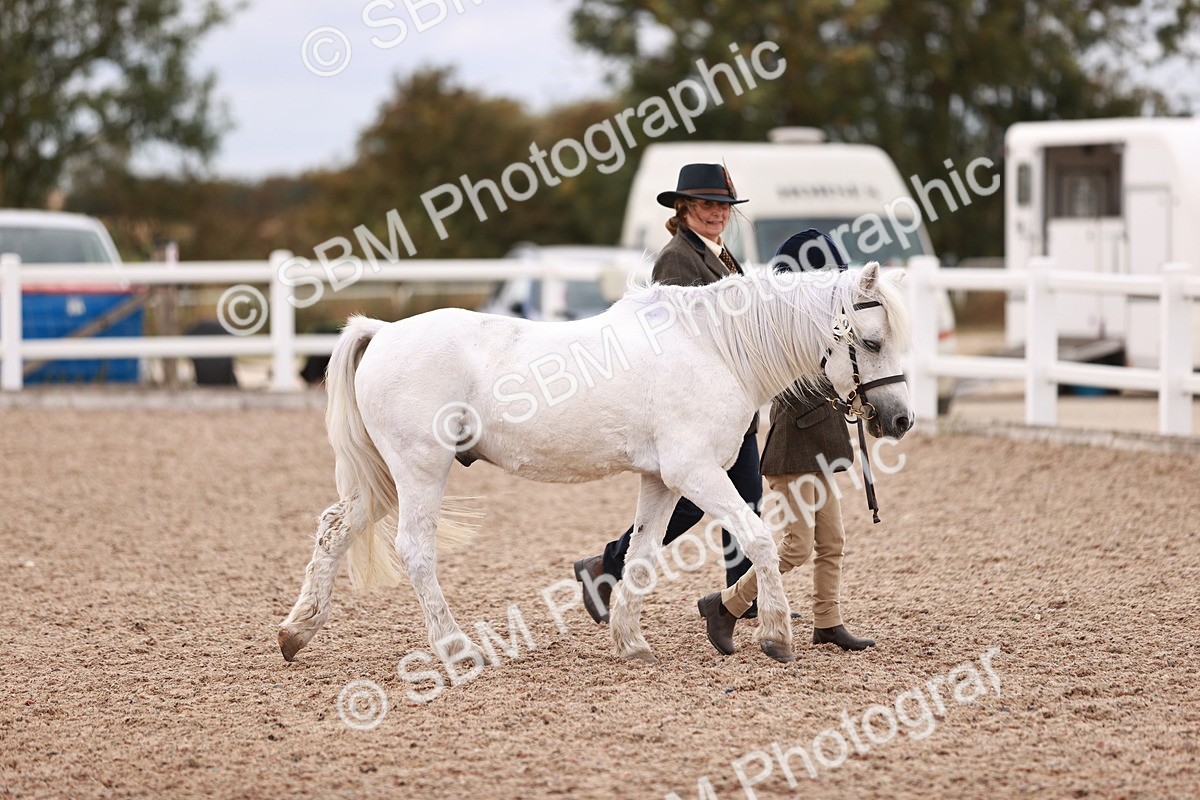 SBM_18476 - Class 420 - Ridden M&M