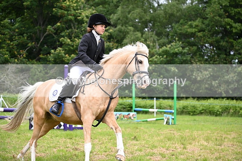 WJ6_5653 - Class 5 pairs 70cm