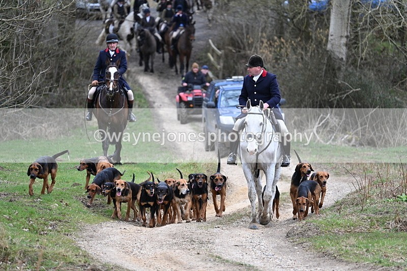 WJ7_7295 - Walk Home