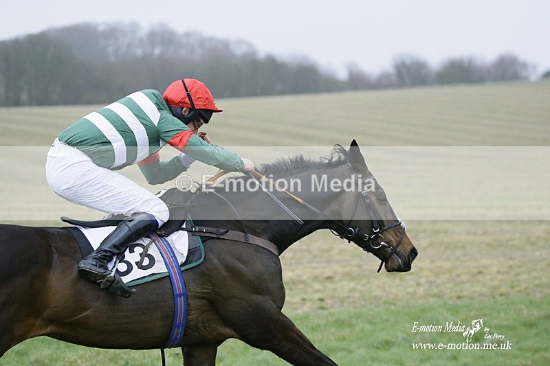 PtP 200222 788 - Countryside Alliance PtP Badbury Rings 20/02/22